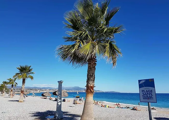 Studio Charmant A Villeneuve-Loubet, 19 M², Climatisation Вильнёв-Лубе